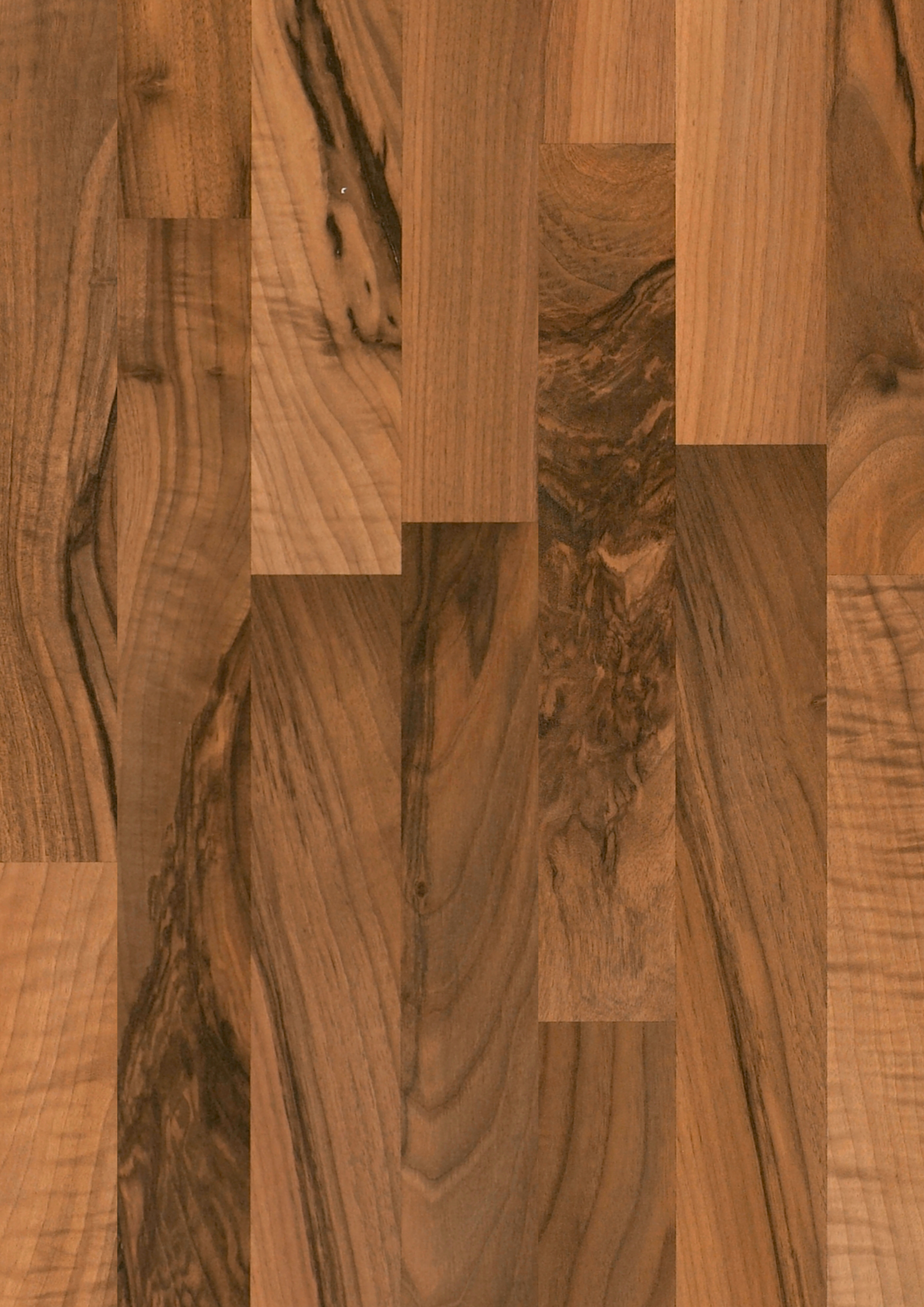 Walnuts Ticino Walnut, imagen 1 de 3