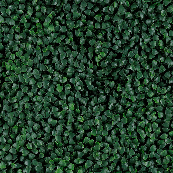Follaje artificial Green Boxus
