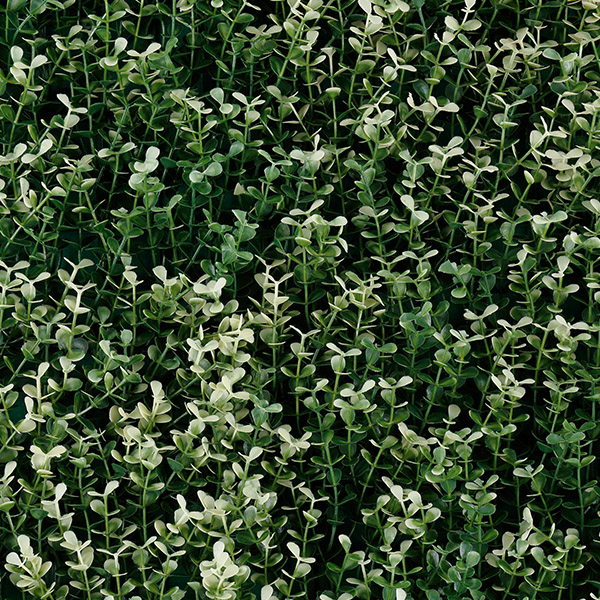 Follaje artificial White Boxus