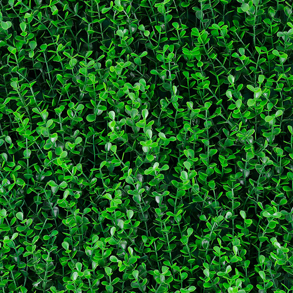 Follaje artificial Spring Boxus