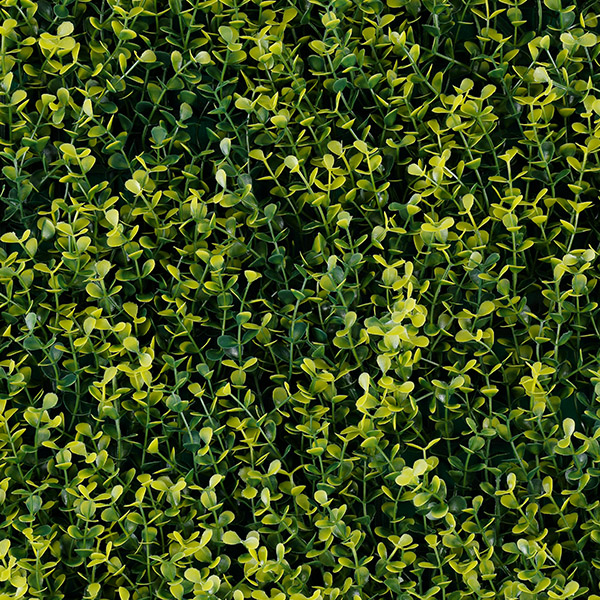 Follaje artificial Yellow Boxus