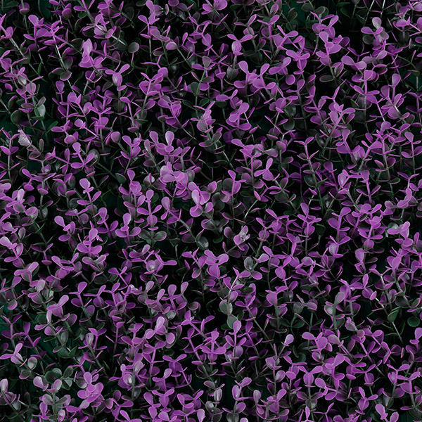 Follaje artificial Purple Boxus