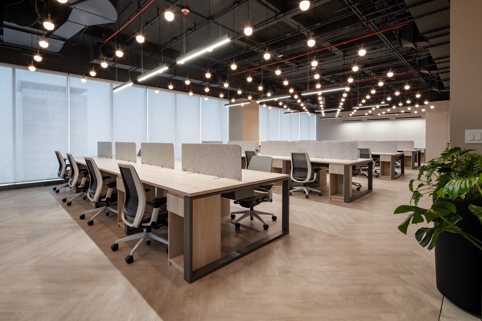 ShawContract IPS