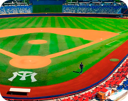 Pasto Sintético para canchas - pasto sintético de béisbol