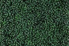 Follaje artificial para jardin vertical tipo Green Boxus