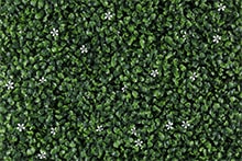 Follaje artificial para jardin vertical tipo Jasmine