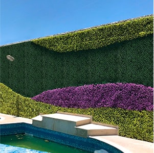 jardin vertical en exterior