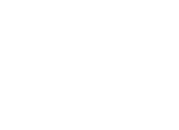 Flexiroc