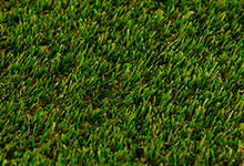 Pasto Bermuda 50 para Canchas de Fútbol