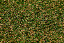 Pasto Bermuda 20 para Canchas