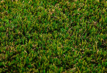 Pasto para Canchas Deportivas