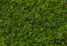 Pasto para Canchas VALLEY 40