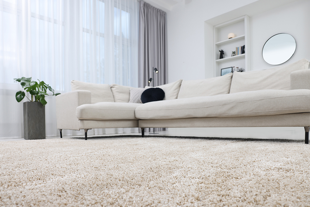 Sala acogedora con alfombra Terza que aporta calidez y estilo contemporáneo